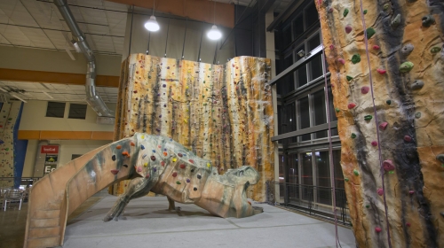 Central Rock Gym Atlanta (former Stone Summit)