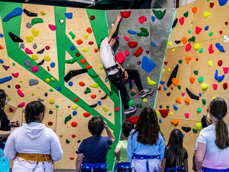 Climb Academy 的 Walltopia 天然木材攀岩墙面板