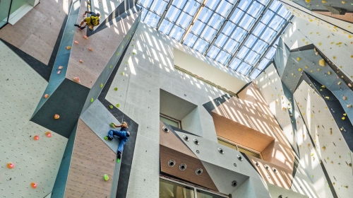Momentum Climbing & Fitness