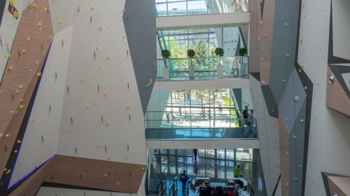 Momentum Climbing & Fitness