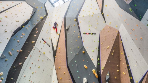 Momentum Climbing & Fitness