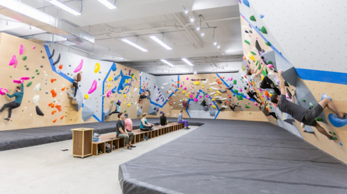 Central Rock Gym Chelsea