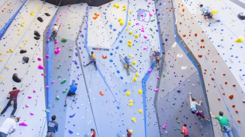 Central Rock Gym Rochester