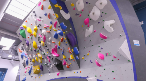 Central Rock Gym Manhattan