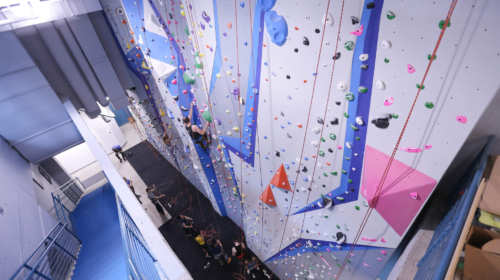 Central Rock Gym Manhattan