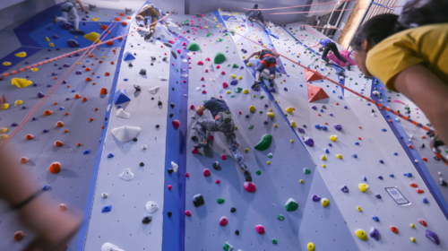 Central Rock Gym Manhattan