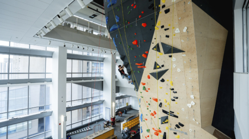 University of Pittsburgh (Pitt)