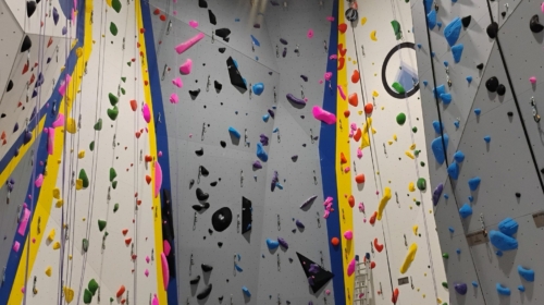 Odyssey Climbing + Fitness Appleton
