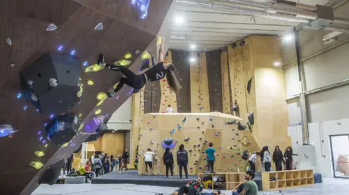 Momentum Indoor Climbing Plovdiv