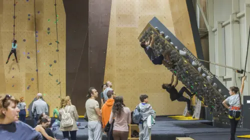 Momentum Indoor Climbing Plovdiv