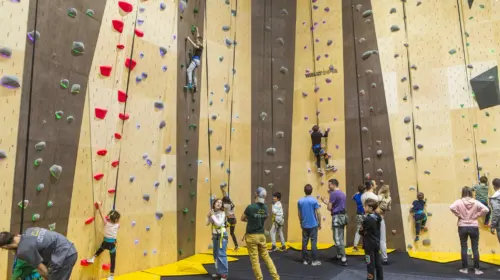 Momentum Indoor Climbing Plovdiv
