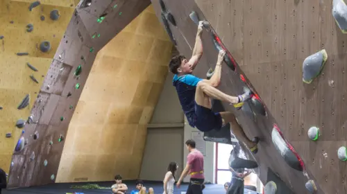 Momentum Indoor Climbing Plovdiv