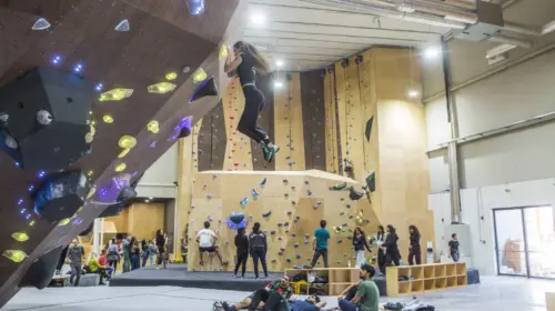 Momentum Indoor Climbing Plovdiv