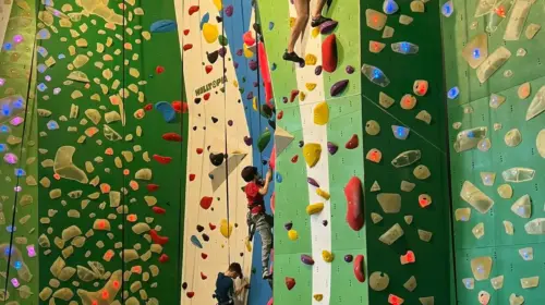 Vertical World
