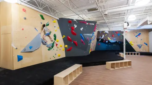 Hogtown Boulders