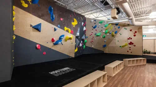 Hogtown Boulders