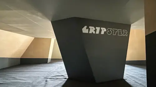 Gripster