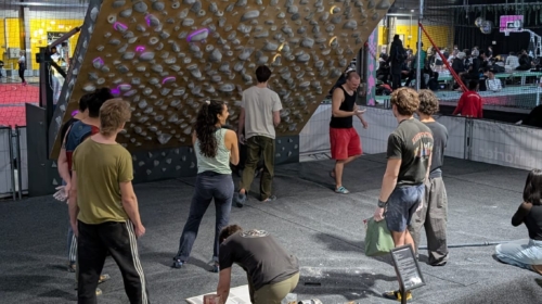 The Boulder Room Quantum Board XL 15×15