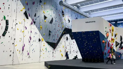 Salewa Cube Varese
