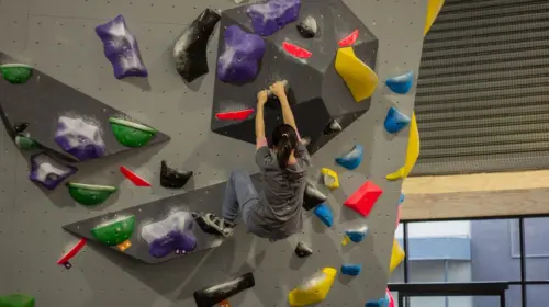 Boulder Lab Brunswick
