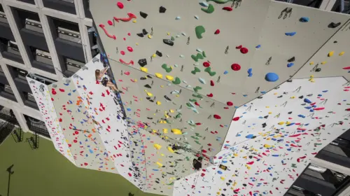 BONOBO climbing lauko laipiojimo siena