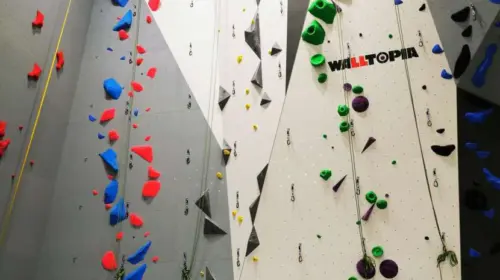 Bolder Climbing Elevated