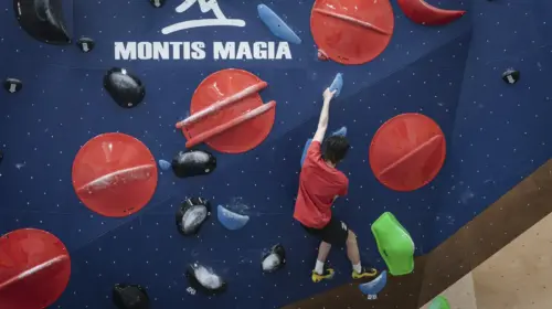 Montis Magia