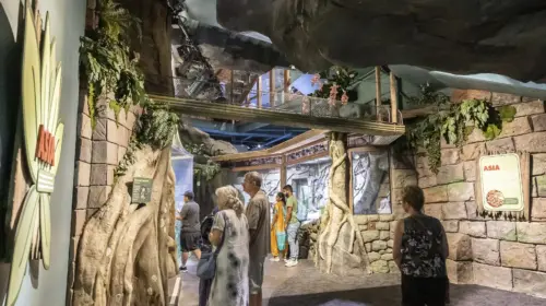 Georgia Aquarium