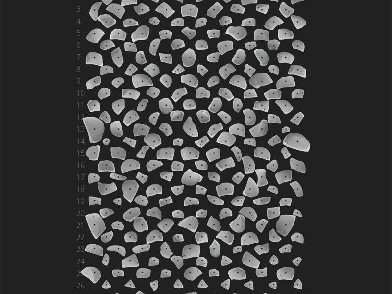 Quantum Board Fitness Holds Layout